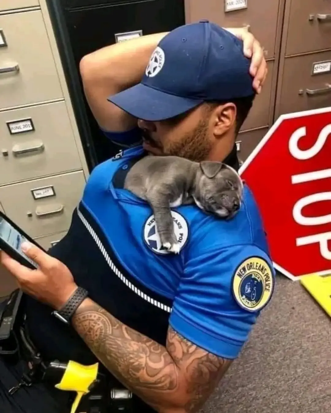 A New Leash on Life: One Rescue Pup’s Journey Home