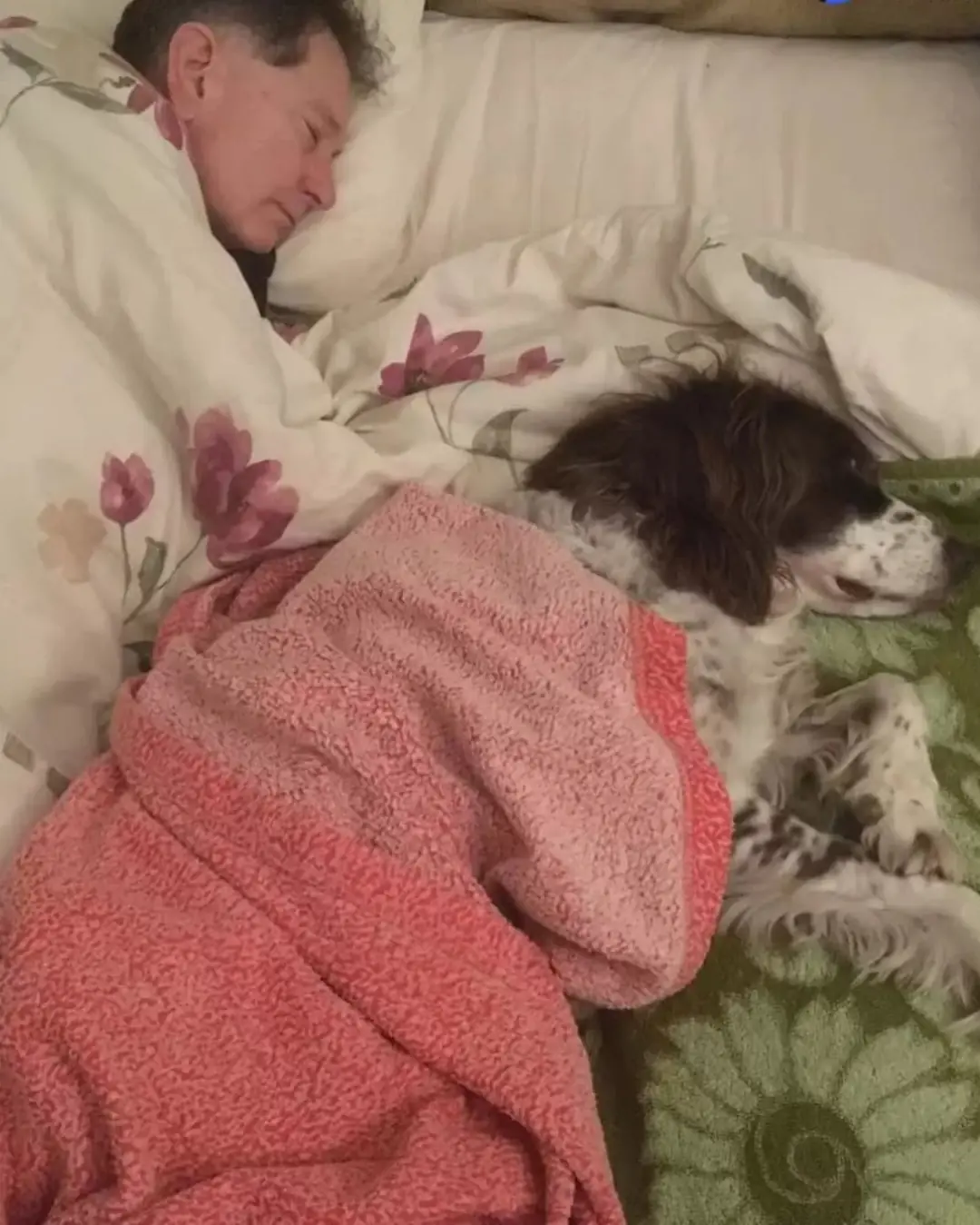 This Senior Dog Can’t Climb the Stairs Anymore — So Dad Sleeps on the Sofa with Him Every Night