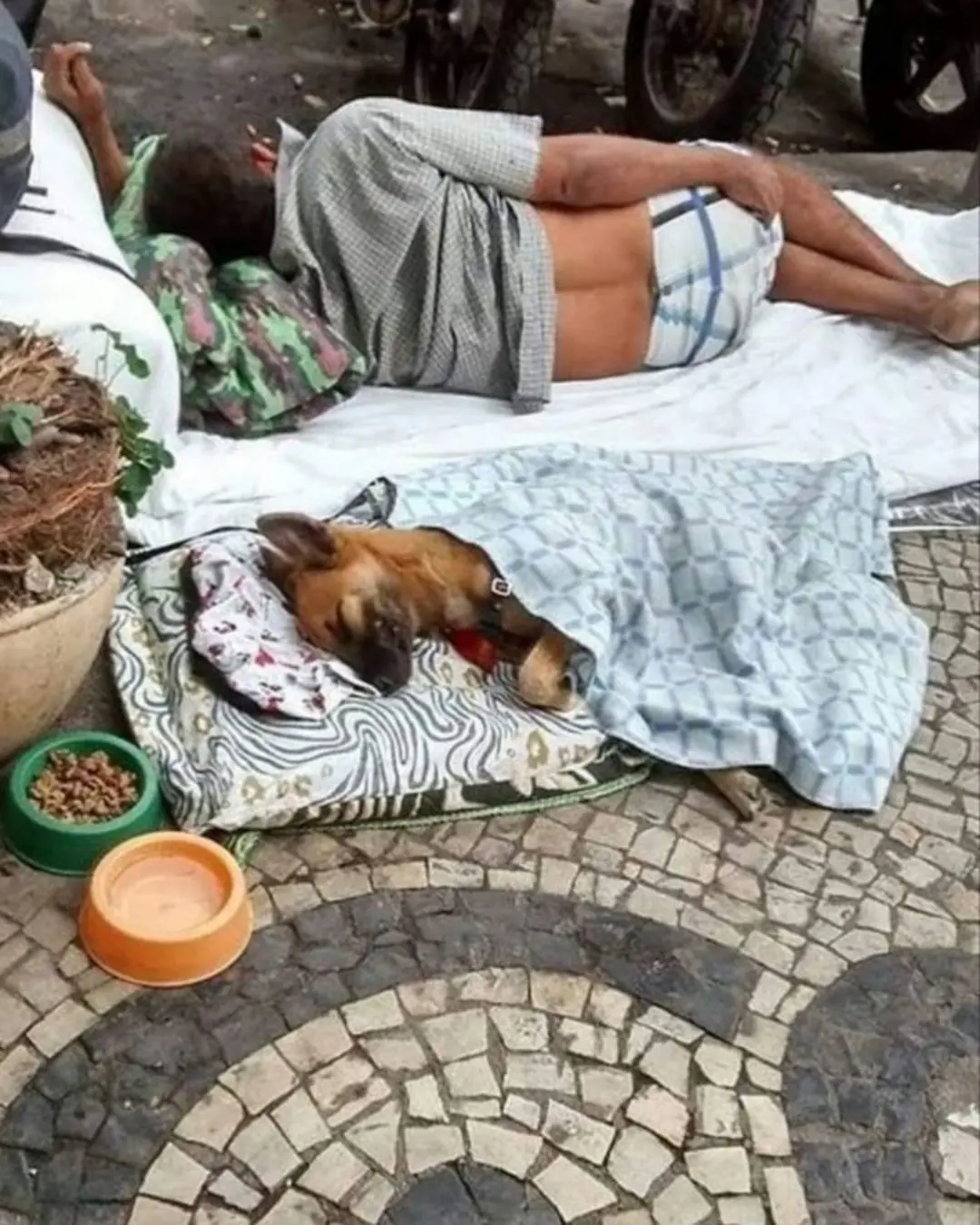 Sometimes, those who have the least give the most.