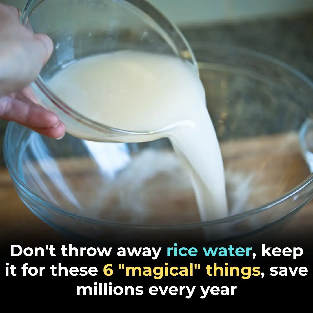 Don't throw away rice water, keep it for these 6 "magical" things, save millions every year
