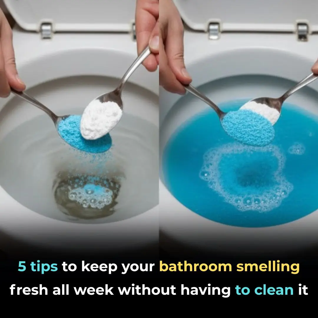 5 tips to keep your bathroom smelling fresh all week without having to clean it