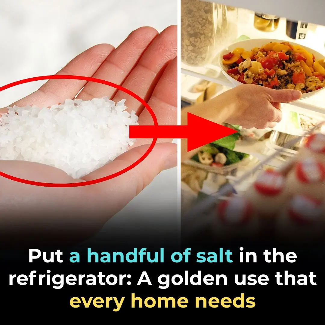 Put a handful of salt in the refrigerator: A golden use that every home needs