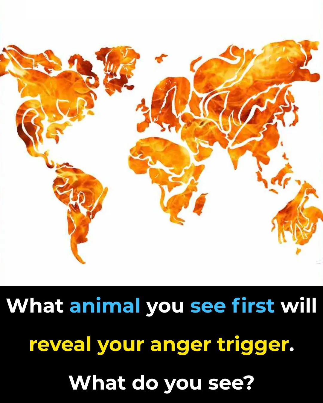 The Animal You See First Reveals Your Anger Trigger