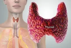 The #1 Enemy of Your Thyroid: Stop Eating This Food Immediately!