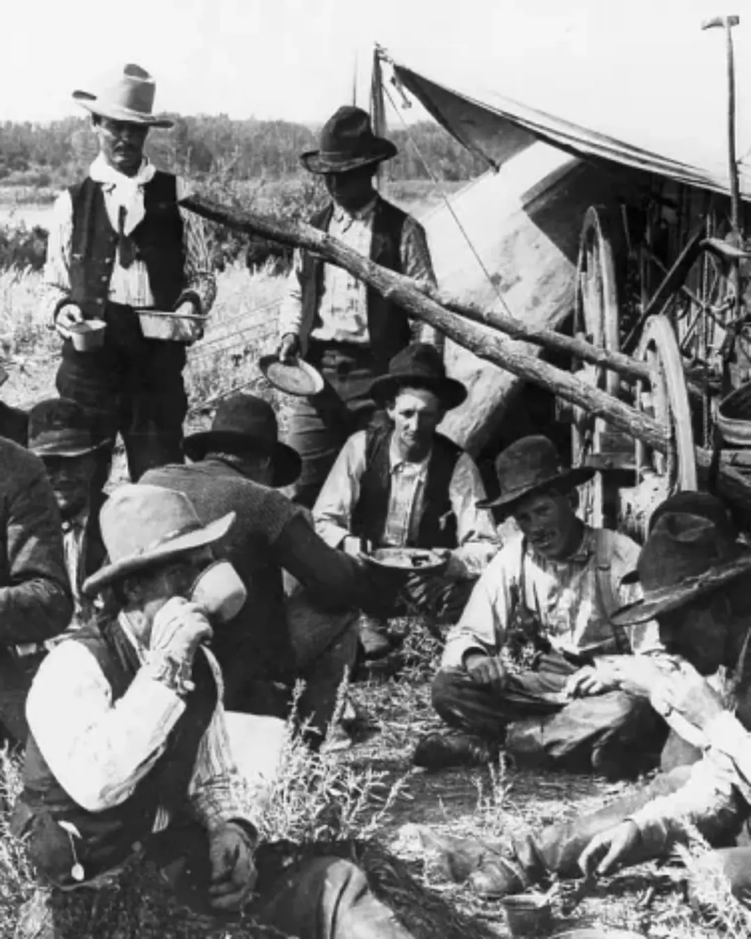 Nelson Story: The Cowboy Who Built a Legacy.