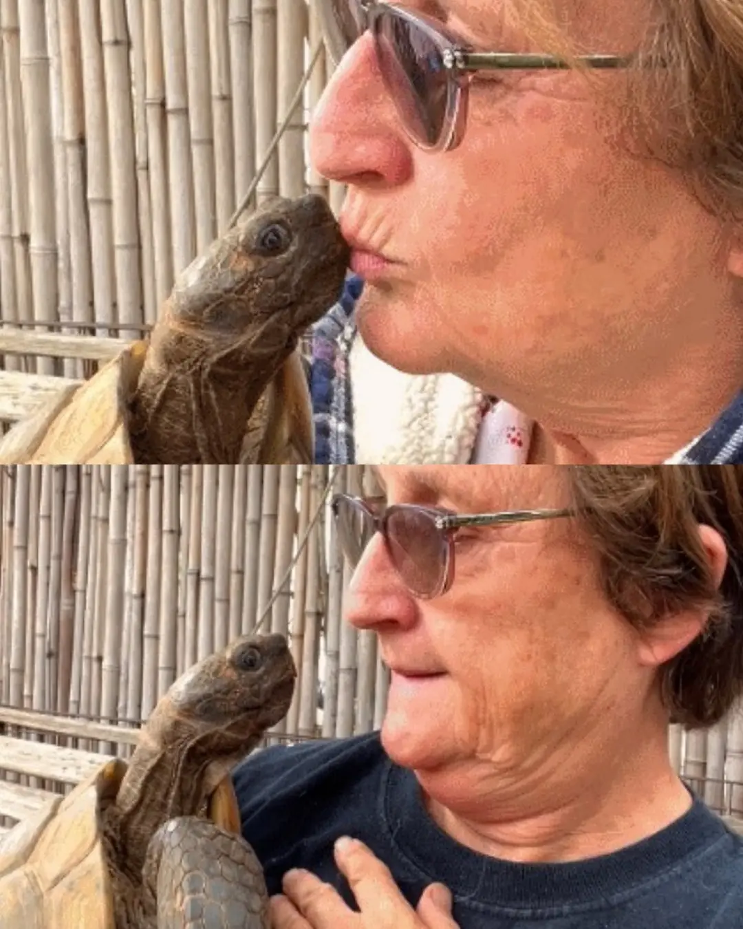 The Woman and the Tortoise Who Grew Old Together.
