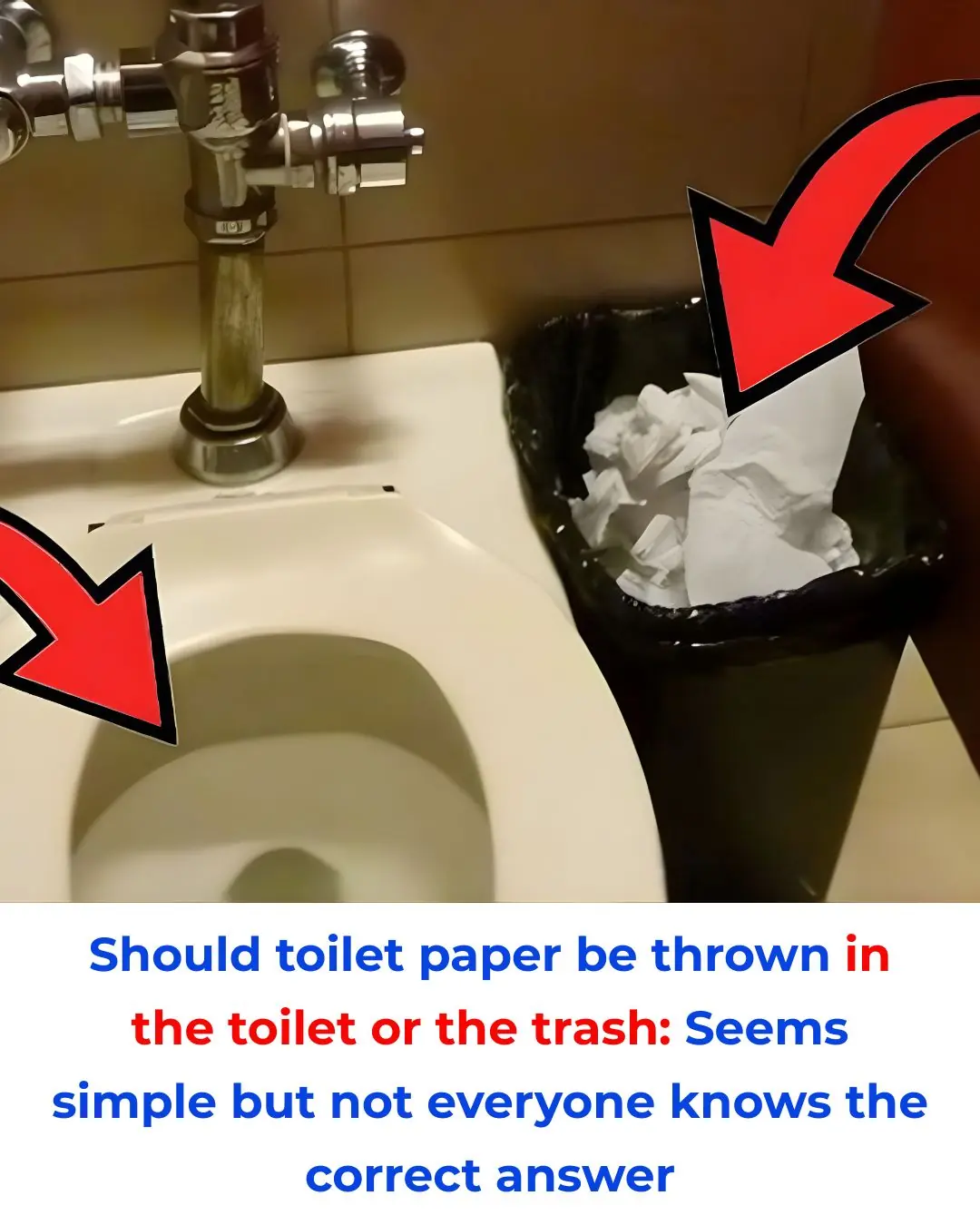 Should toilet paper be thrown in the toilet or the trash: Seems simple but not everyone knows the correct answer