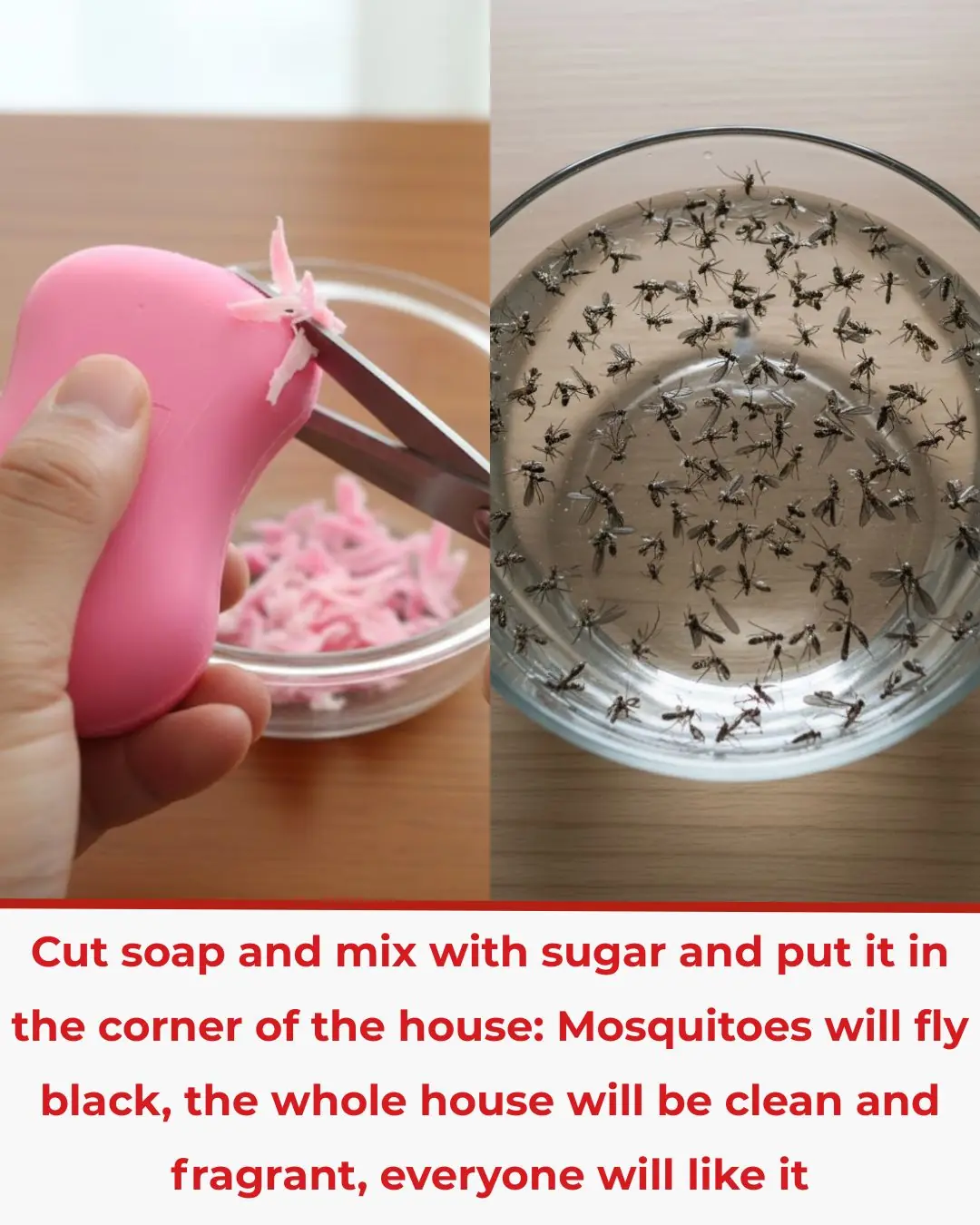 Cut soap and mix with sugar and put it in the corner of the house: Mosquitoes will fly black, the whole house will be clean and fragrant, everyone will like it