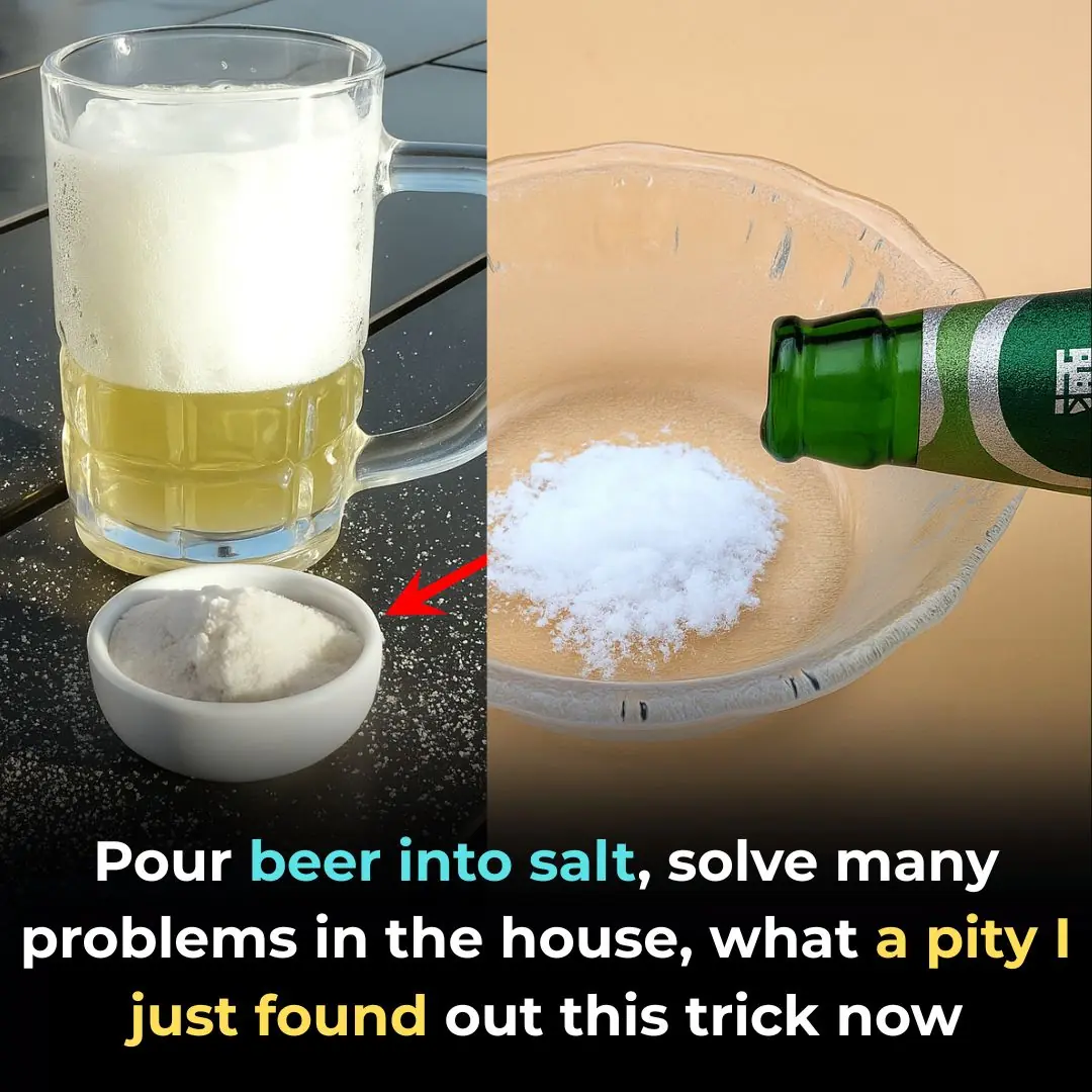 Pour Beer into Table Salt to Solve Many Household Problems – Wish I Knew This Trick Sooner!
