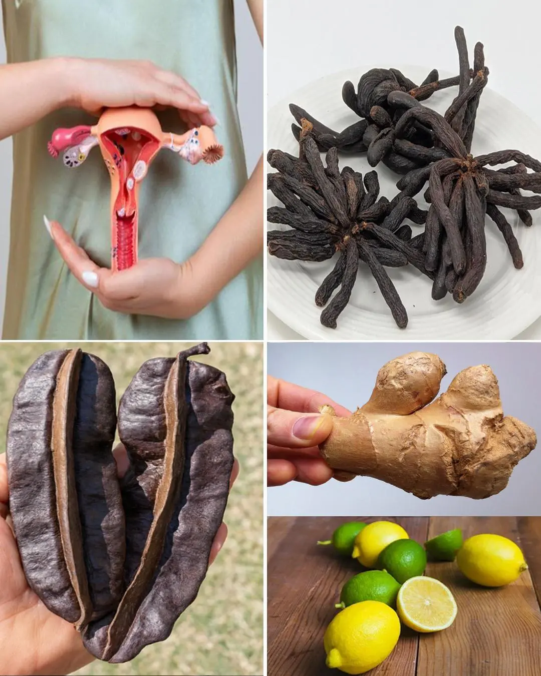 Inner Vitality Elixir: Benefits of Uda Seeds, Lemon, Aidan Fruit, and Ginger for Women’s Health