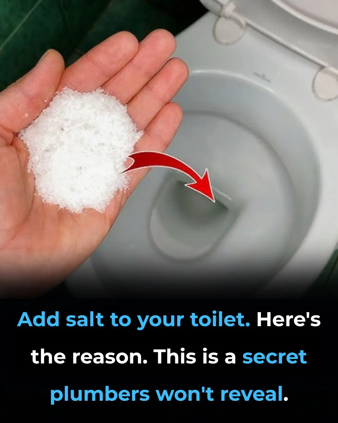 Put salt in your toilet. Here's why. This is something plumbers will never tell you