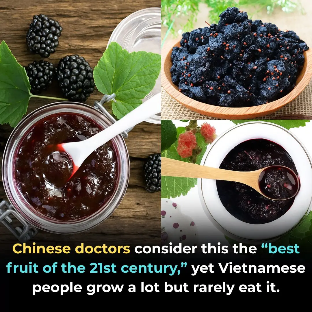 A Fruit Called the “Best of the 21st Century” — Grown in Many Vietnamese Gardens, Yet Rarely Eaten