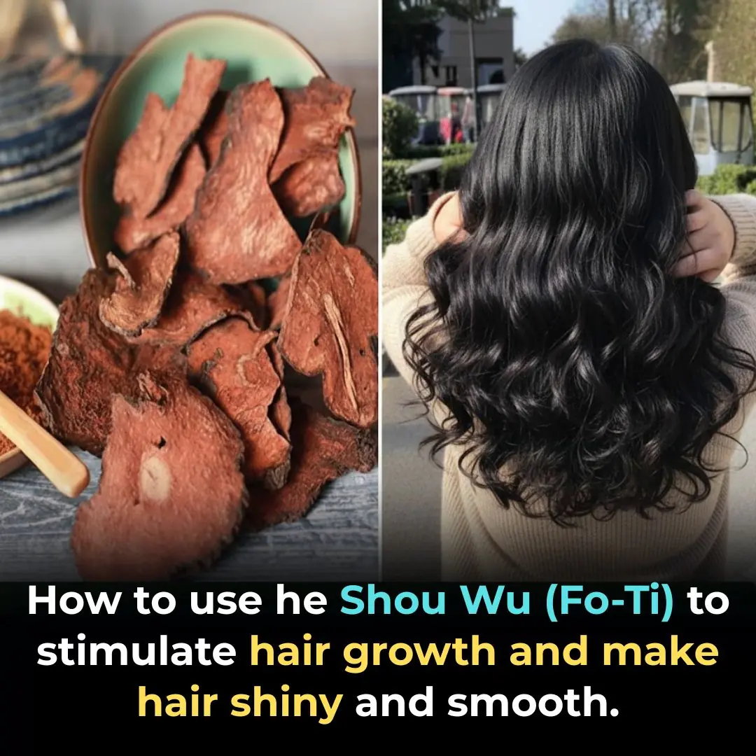 How to Use Hà Thủ Ô to Promote Hair Growth and Give You Dark, Smooth Hair