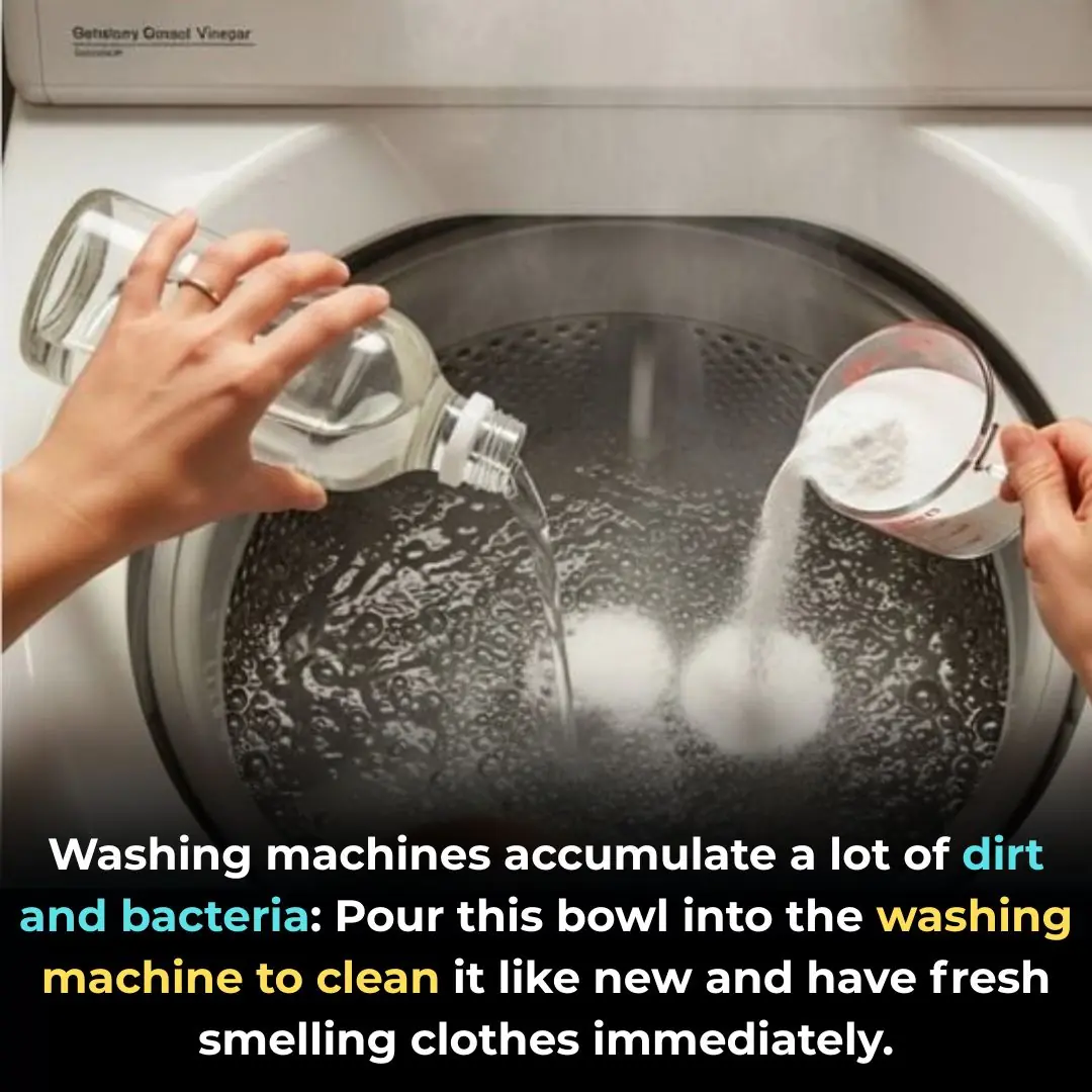 Washing machines accumulate a lot of dirt and bacteria: Pour this bowl into the washing machine to clean it like new and have fresh smelling clothes immediately.