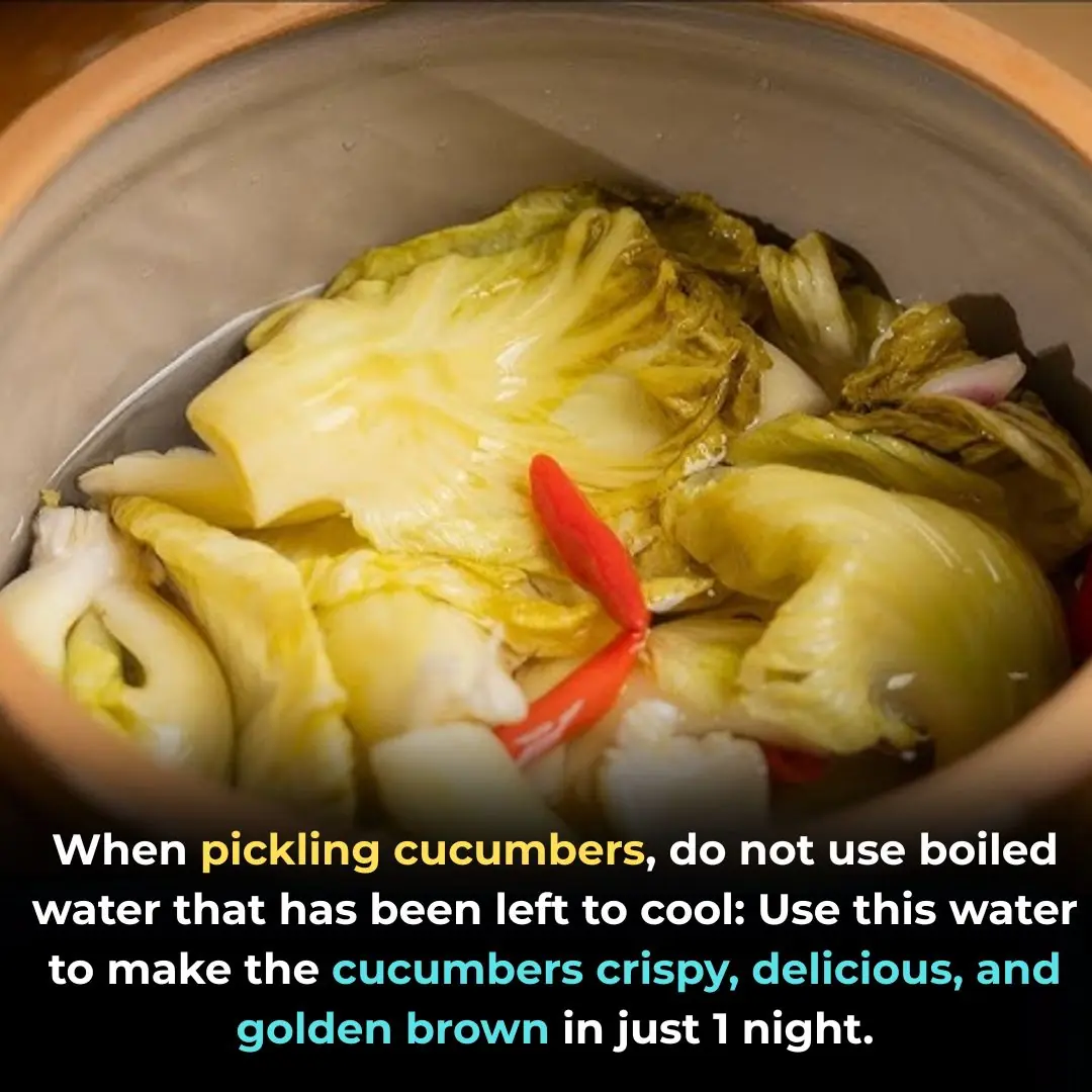 When pickling cucumbers, do not use boiled water that has been left to cool: Use this water to make the cucumbers crispy, delicious, and golden brown in just 1 night.