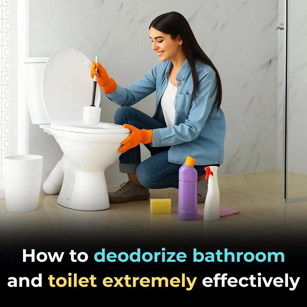 How to deodorize bathroom and toilet extremely effectively