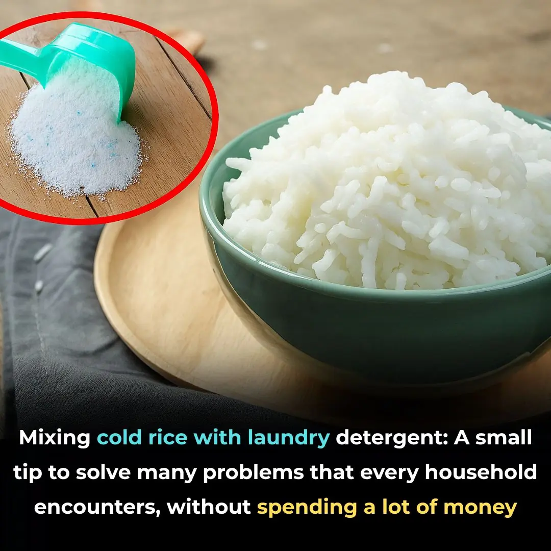 Mixing cold rice with laundry detergent: A small tip to solve many problems that every household encounters, without spending a lot of money