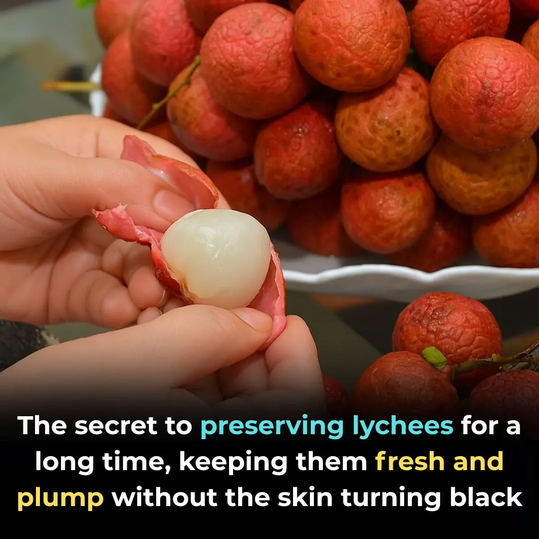 The secret to preserving lychees for a long time, keeping them fresh and plump without the skin turning black