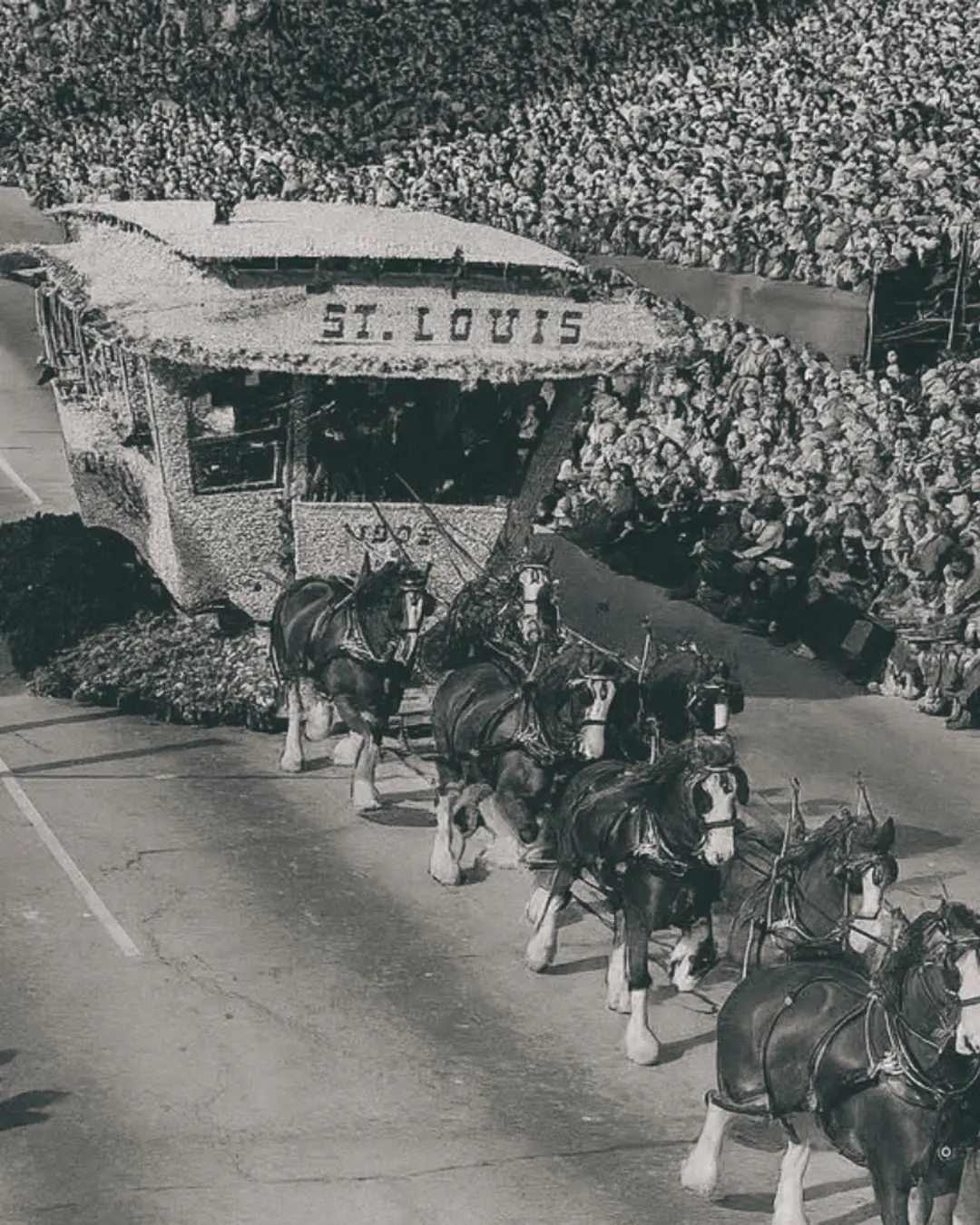 The Day Eight Clydesdales Stole the Show in Pasadena.