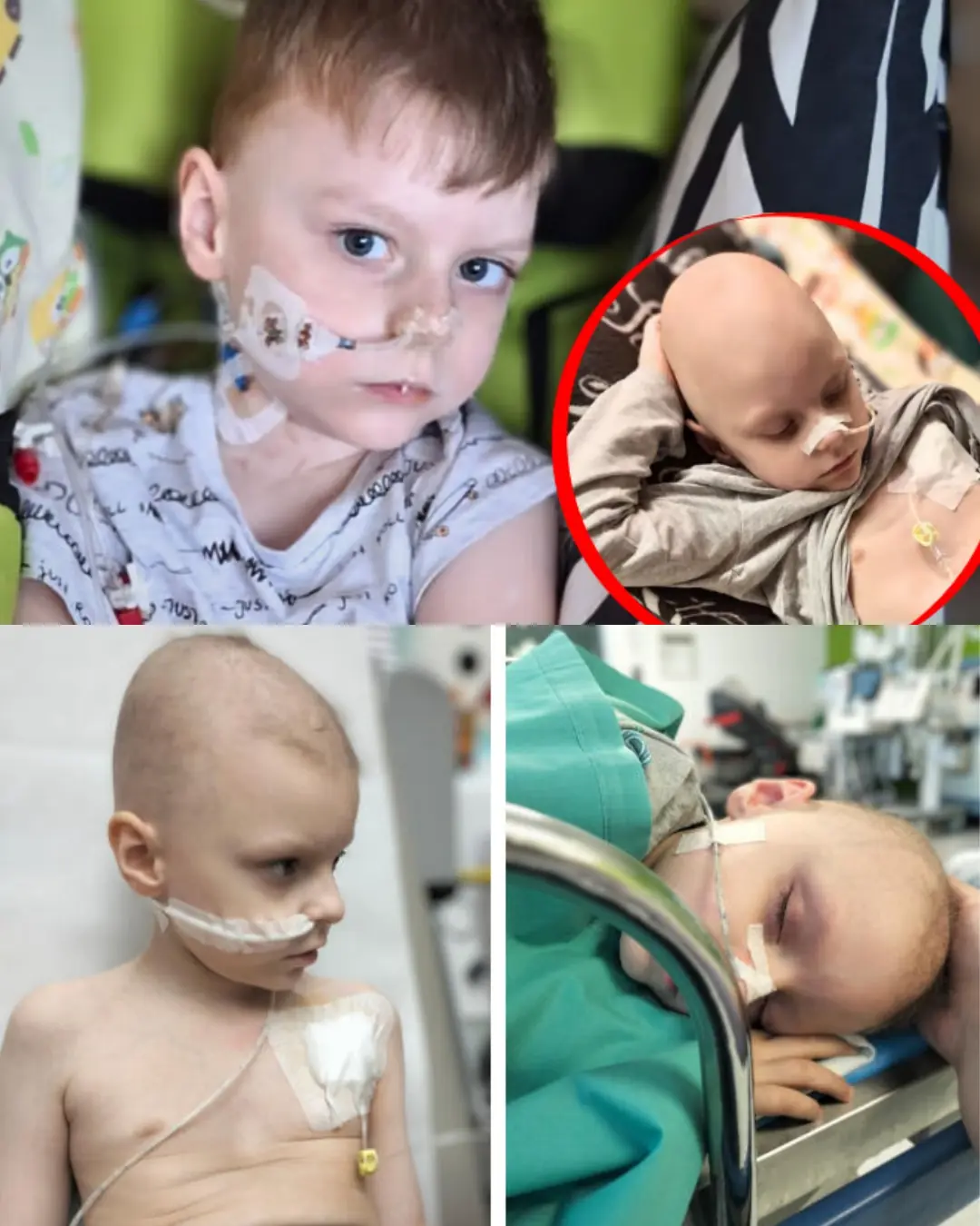 A Mother’s Plea: The Unending Fight to Save Little Grześ