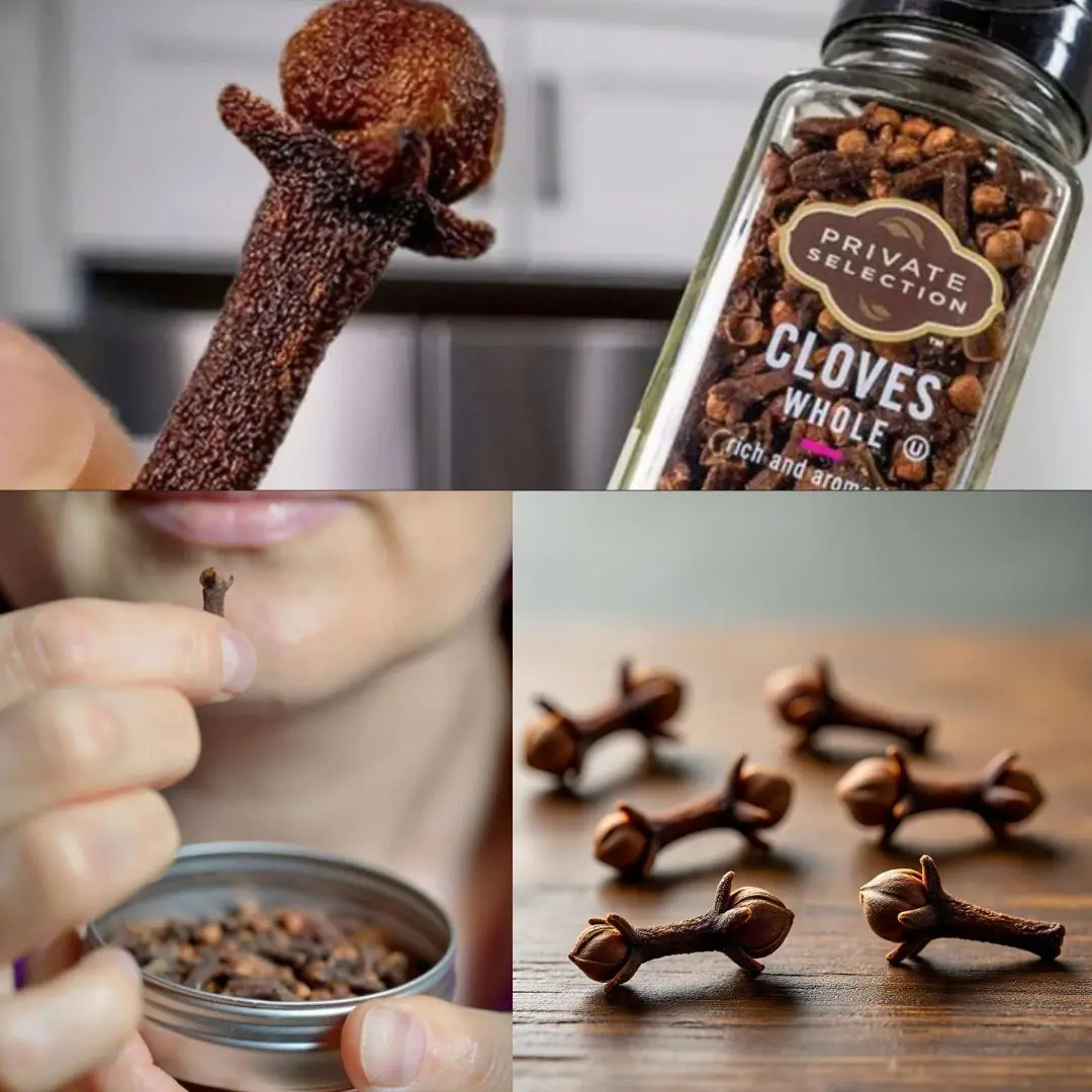 Chewing Cloves Daily: A Tiny Habit with Massive Health Benefits