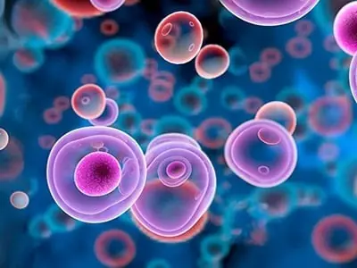 How Water Fasting Triggers Powerful Cellular Healing and Reveals Surprising Long-Term Benefits
