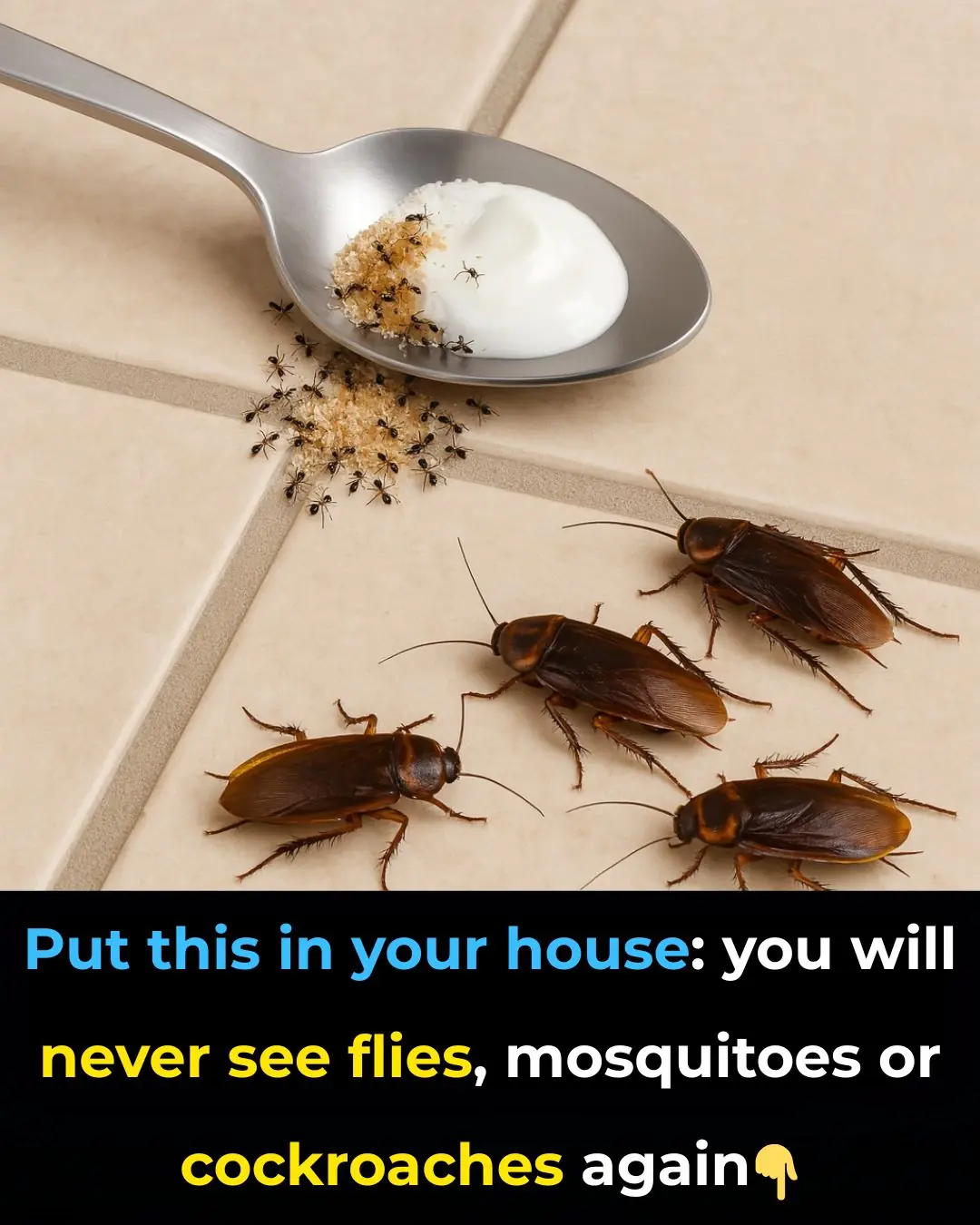 Put This in Your House for 1 Hour, and You Will Never See Flies, Mosquitoes, or Cockroaches Again.