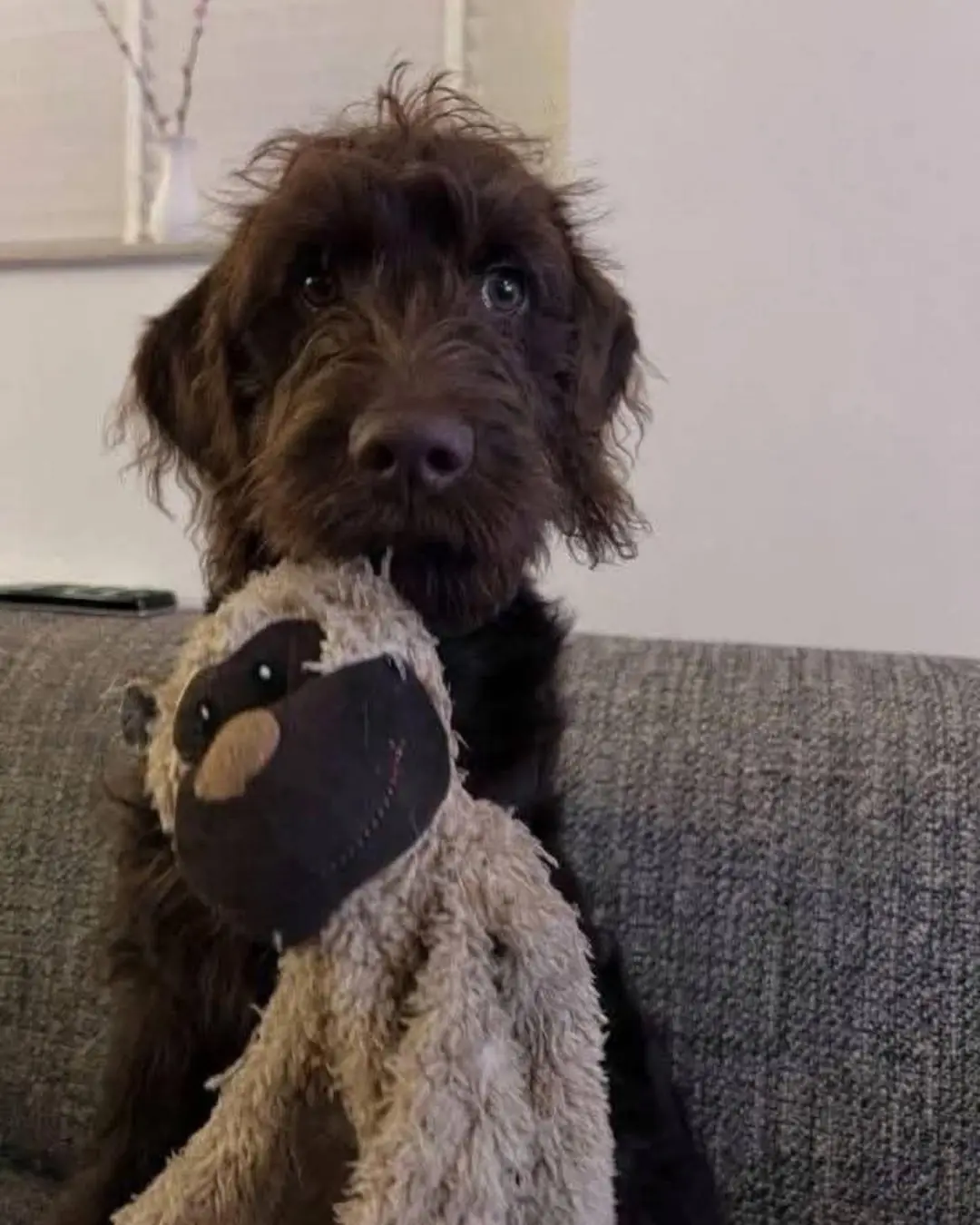 Barnie’s Long Wait: A Tale of Hope, Patience, and Unconditional Love