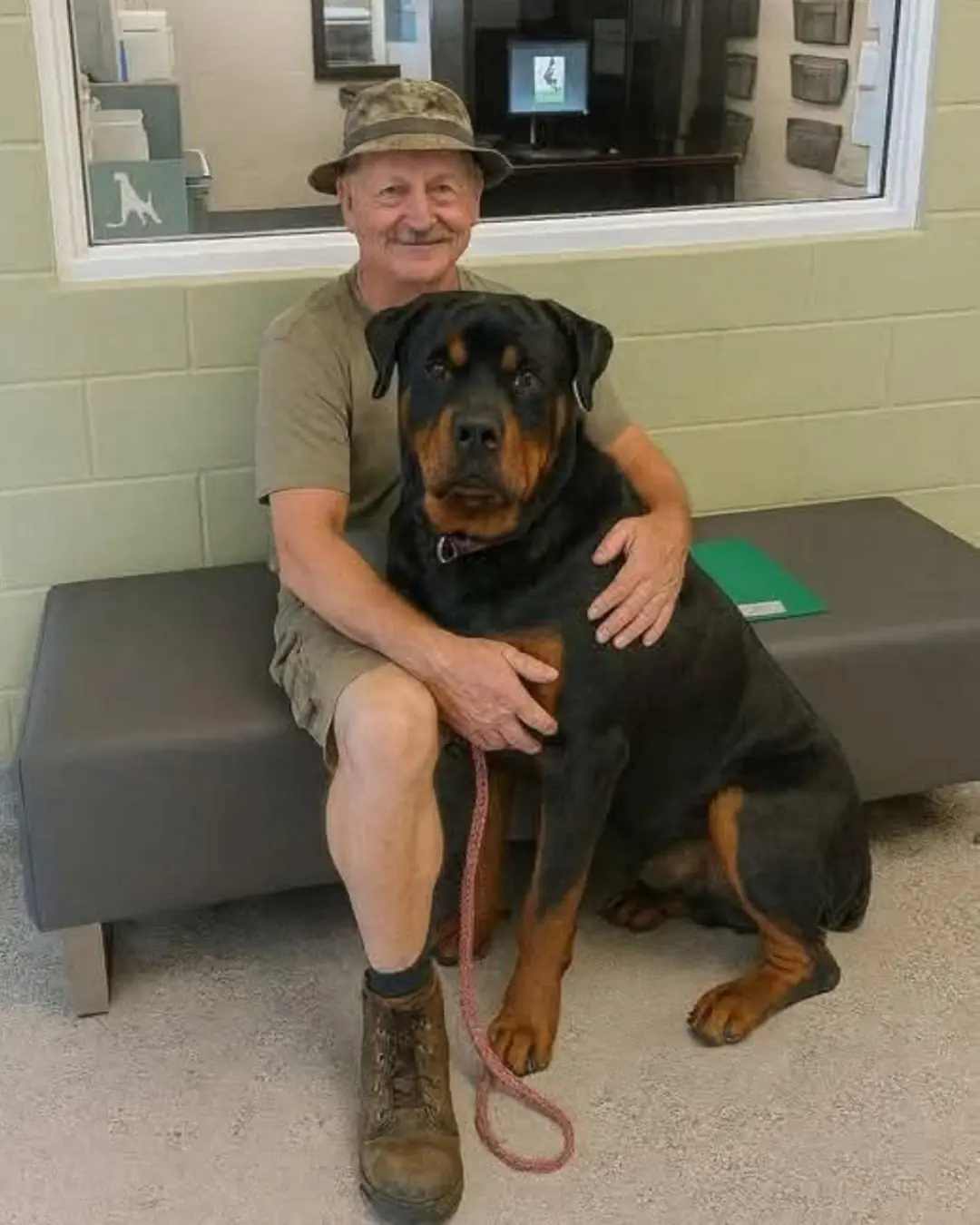 A Gentle Giant Named Valor: The Dog Who Chose Love Over Fear
