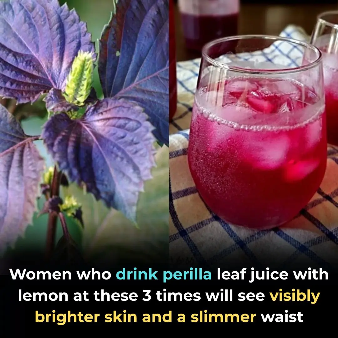 Women Who Drink Perilla Leaf Water with Lemon at These 3 Times See Clearer Skin and a Slimmer Waist