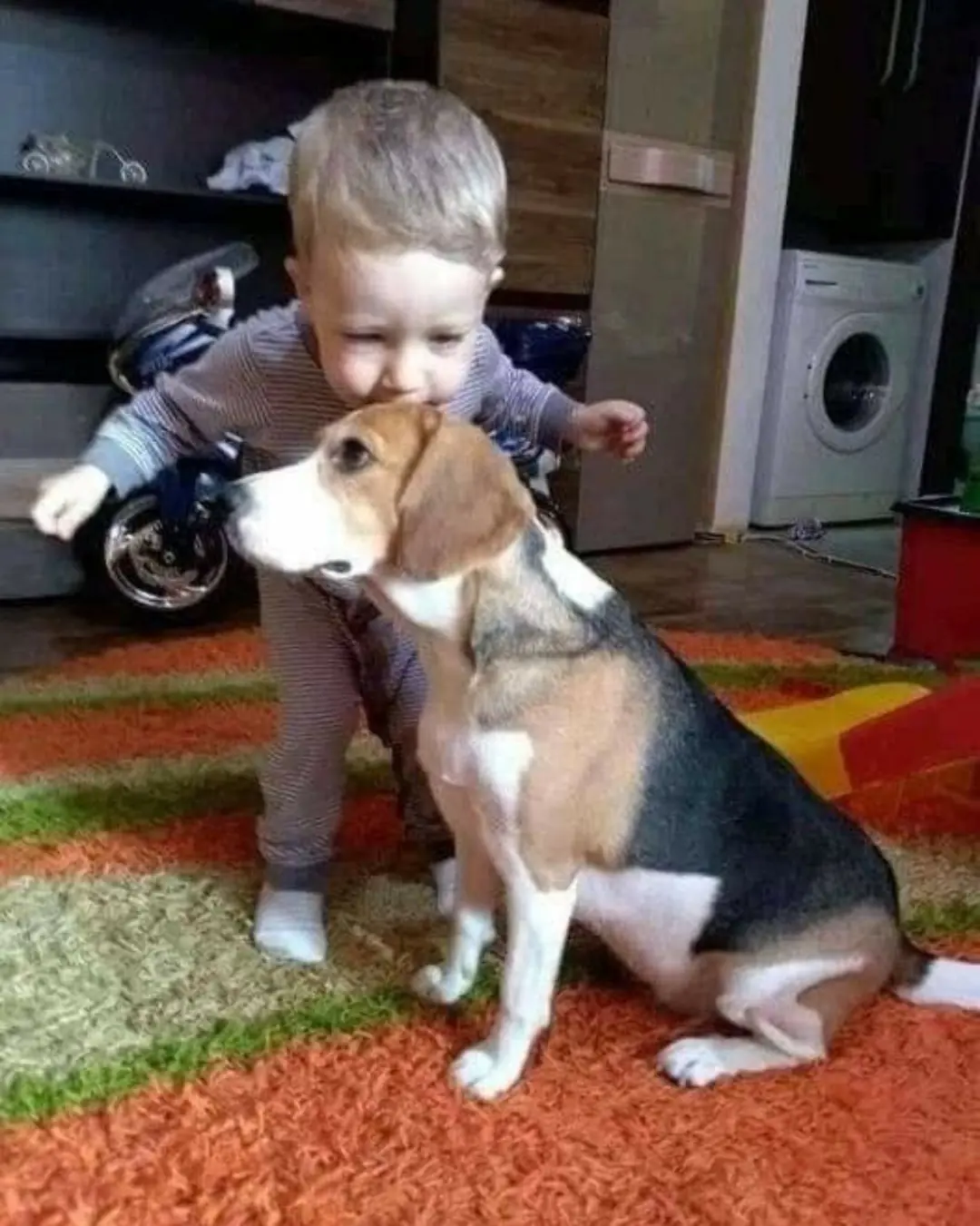 A Kiss That Speaks: The Extraordinary Bond Between a Child and a Deaf Dog