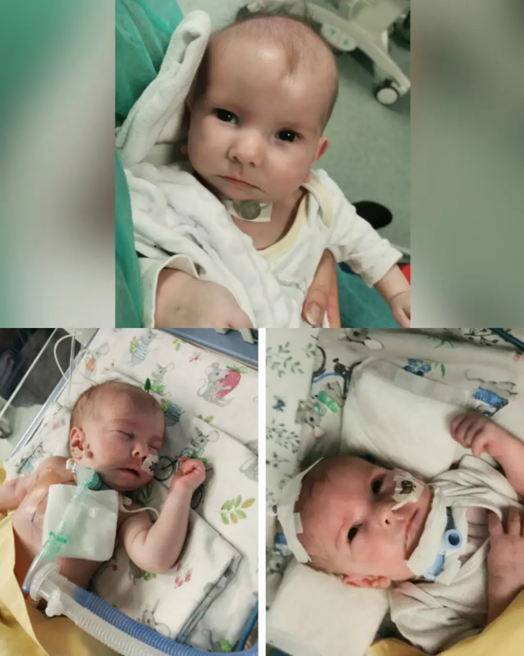 Nikita’s Fight for Life: A Little Boy’s Battle Against Impossible Odds