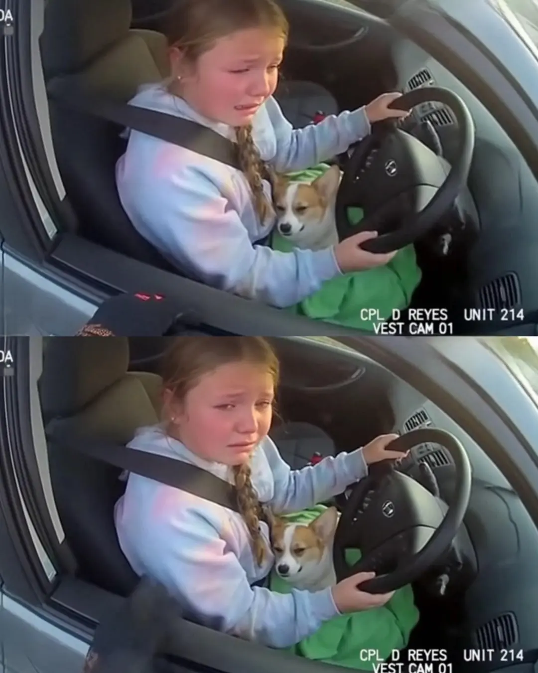 A 12-Year-Old's Courage and Compassion: Officer Saves Puppy After Girl Drives to the Vet