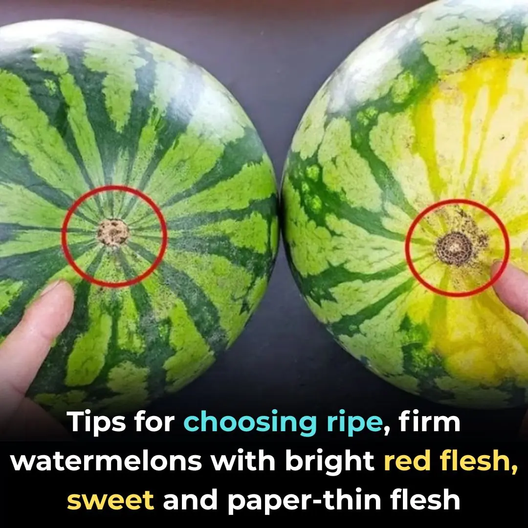 Tips for choosing ripe, firm watermelons with bright red flesh, sweet and paper-thin flesh