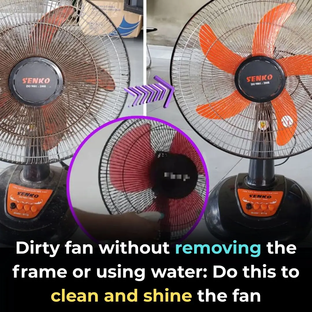 Dirty fan without removing the frame or using water: Do this to clean and shine the fan