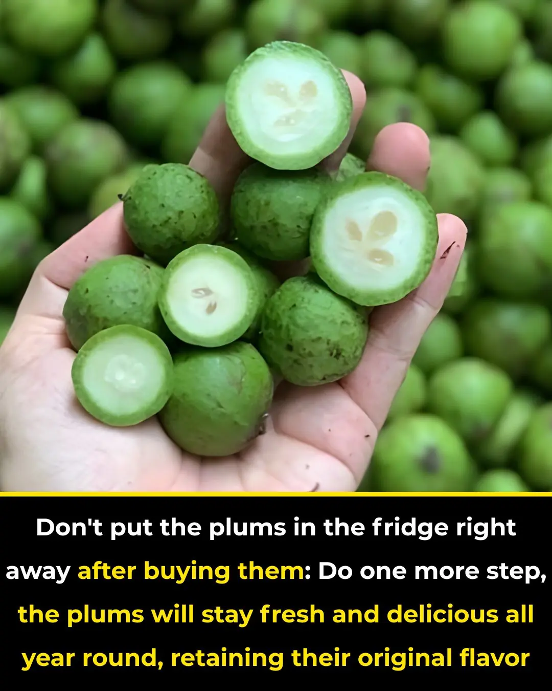 Don't put the plums in the fridge right away after buying them: Do one more step, the plums will stay fresh and delicious all year round, retaining their original flavor.