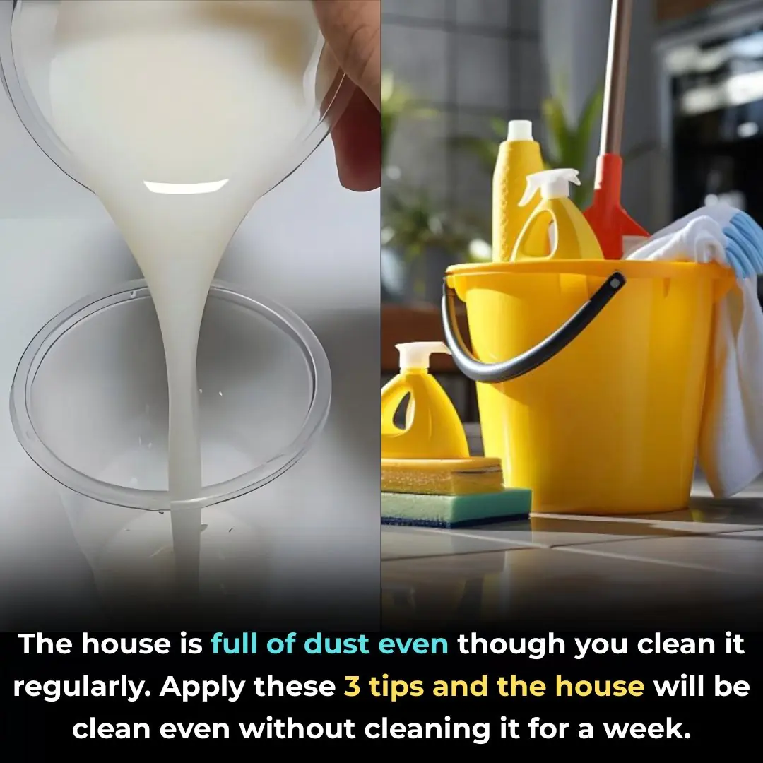 The house is full of dust even though you clean it regularly. Apply these 3 tips and the house will be clean even without cleaning it for a week.