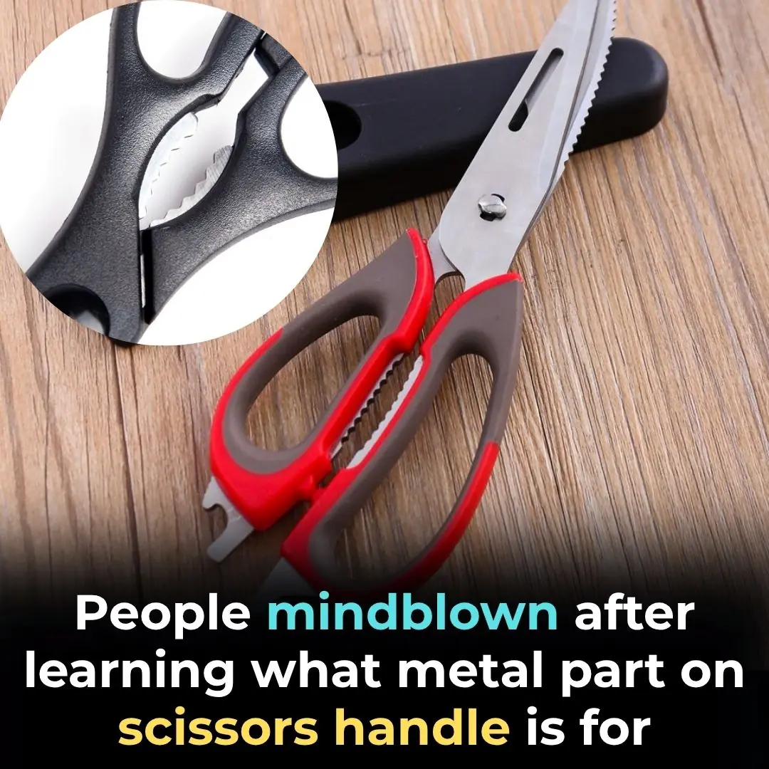 The Surprising Purpose of the Metal Part Between Scissors’ Handles