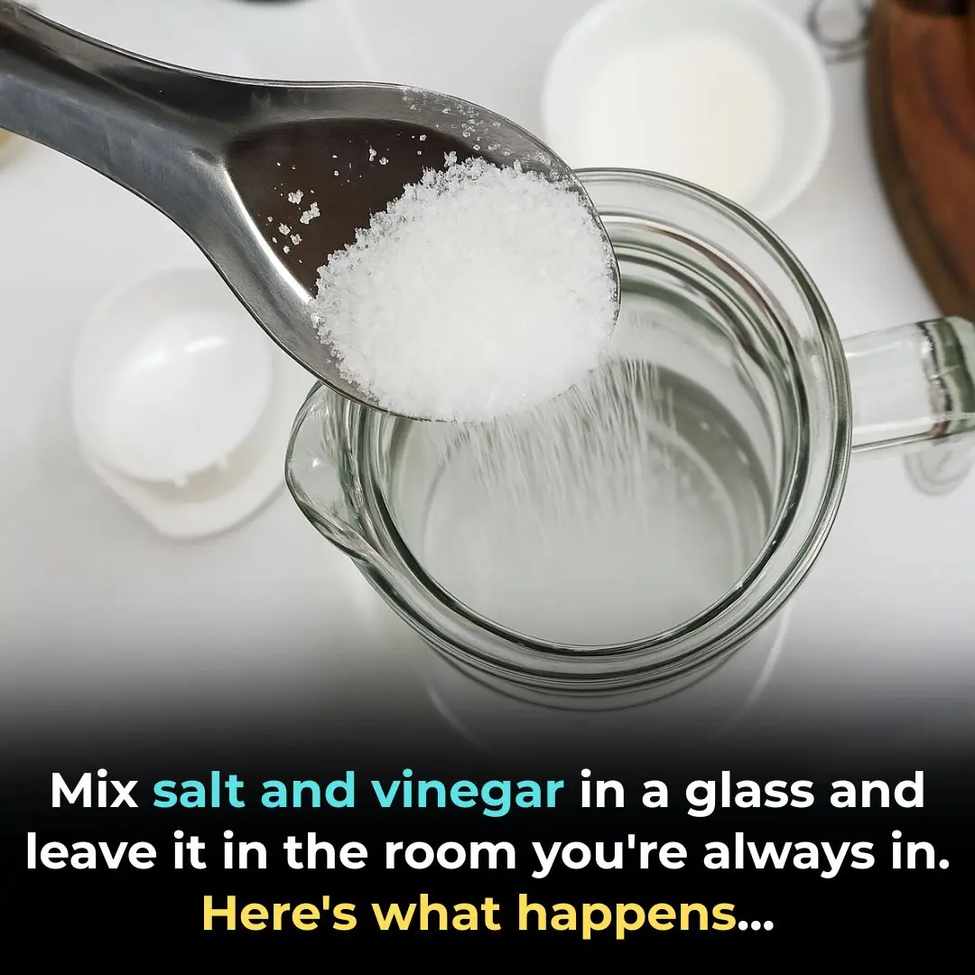 What Mixing Vinegar, Salt, and Water Does?