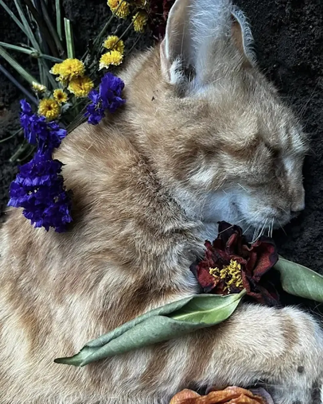 A Farewell Among the Flowers.
