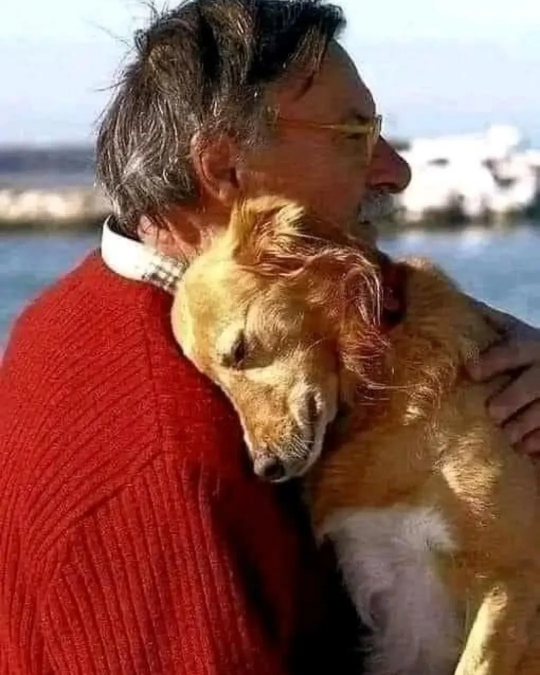 A Parent’s Love Beyond Blood: Celebrating the Unspoken Bond with Pets