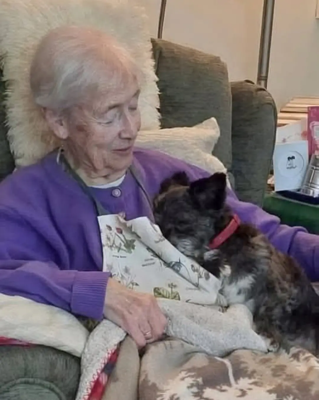 At 89, She Thought Her Dog Days Were Over — Until a Special Rescue Changed Everything