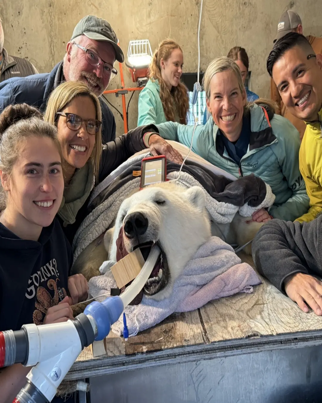 Kova the Polar Bear Becomes First to Benefit from New Marine Mammal Outreach Kit