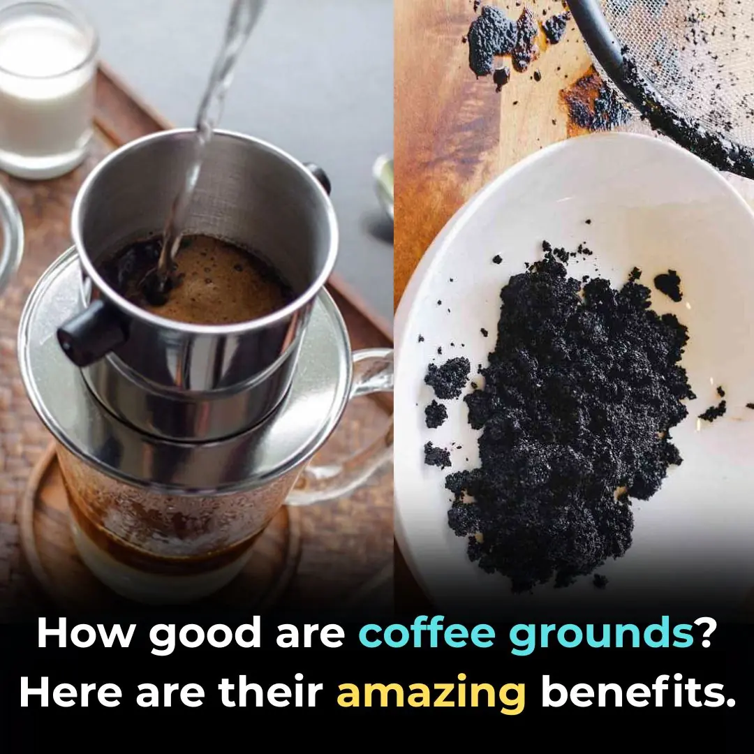 Don’t Throw Away Coffee Grounds — You’re Tossing Money and Magic!