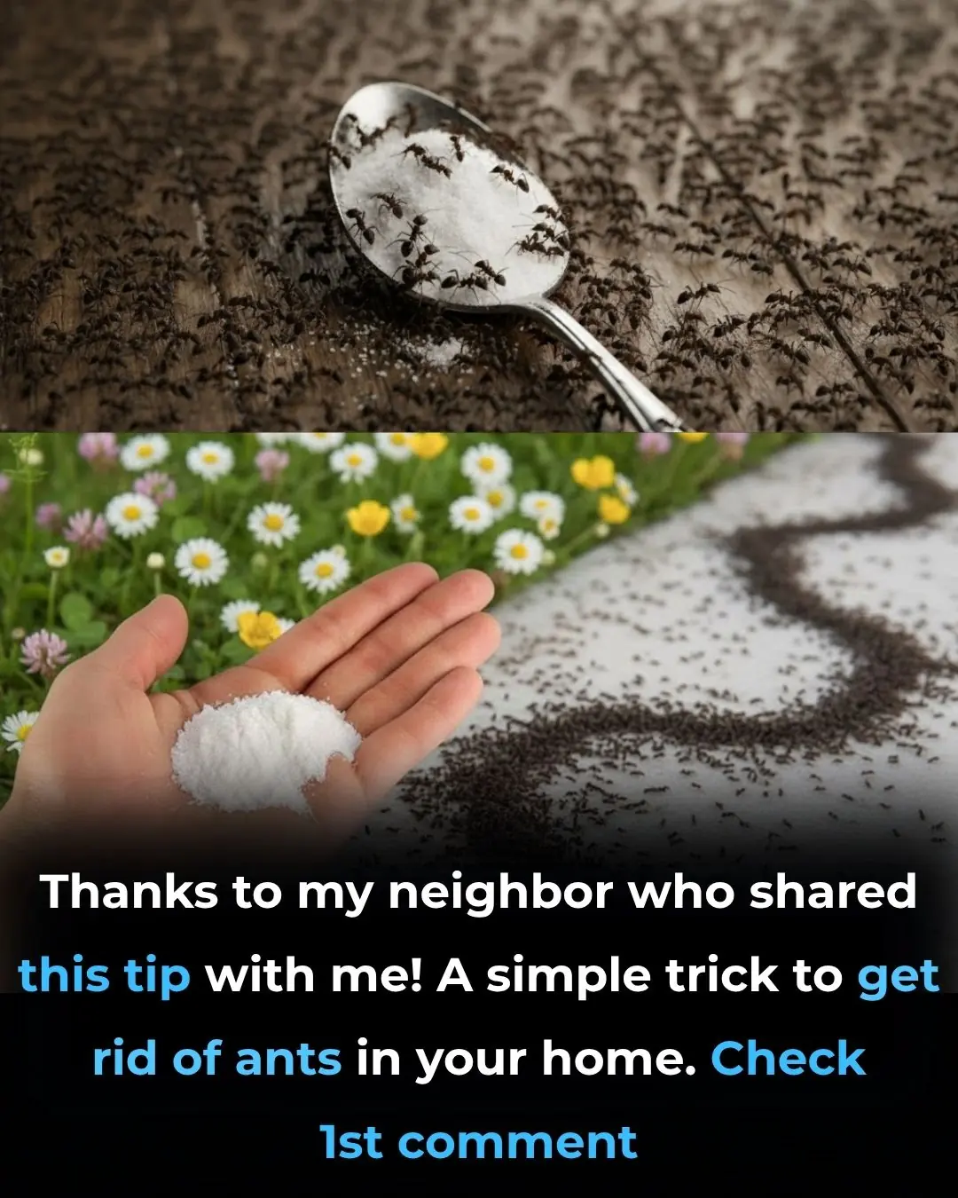 A simple tip you probably need right now.