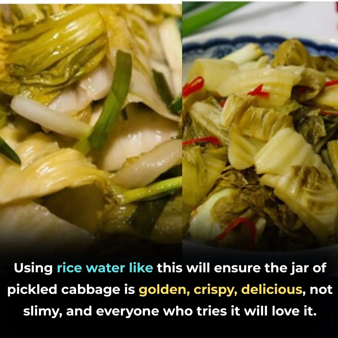 Using rice water like this will ensure the jar of pickled cabbage is golden, crispy, delicious, not slimy, and everyone who tries it will love it.