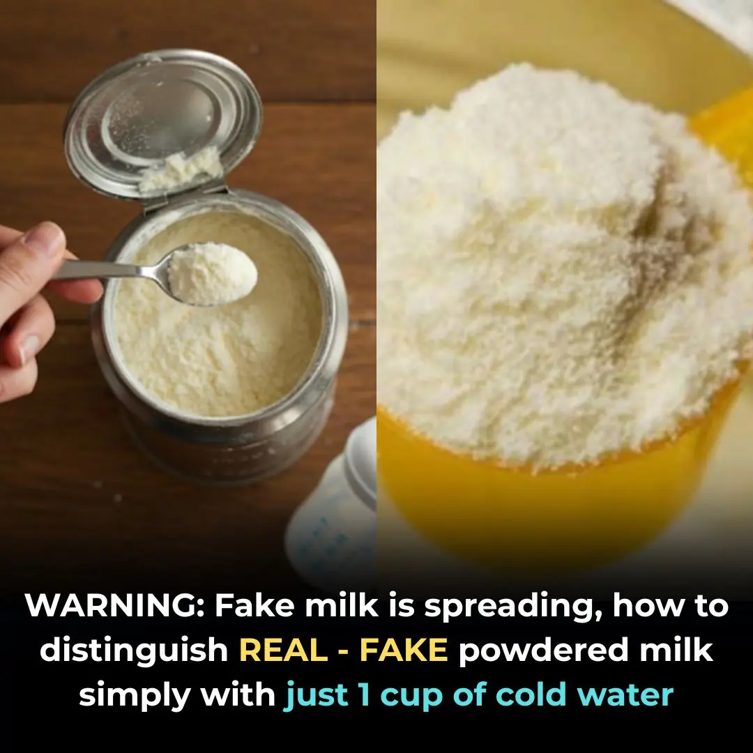WARNING: Fake milk is spreading, how to distinguish REAL - FAKE powdered milk simply with just 1 cup of cold water