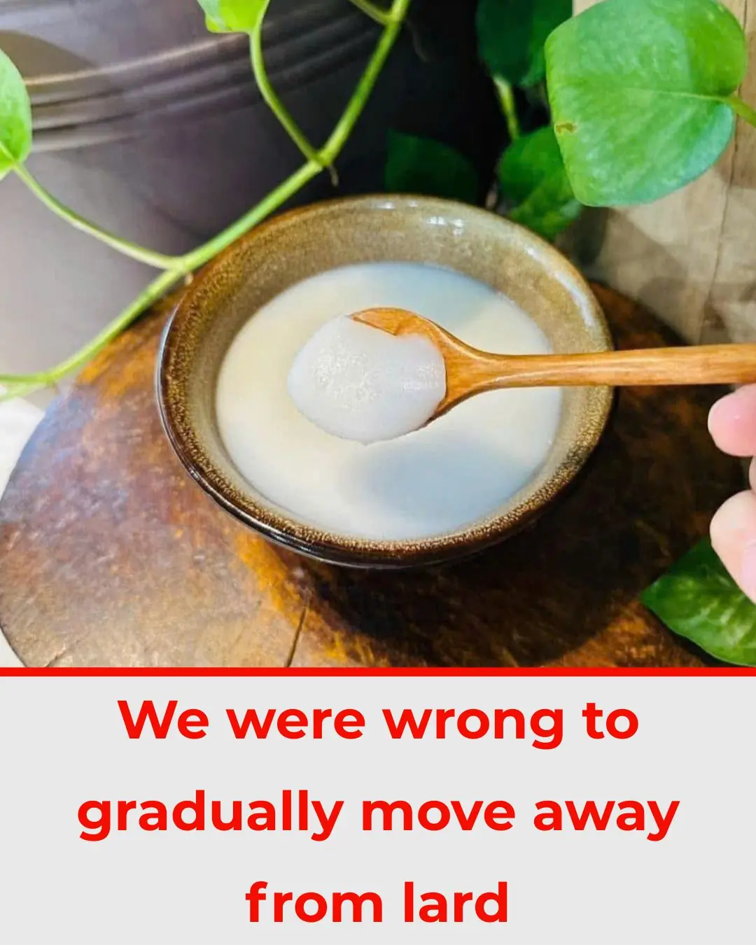 We were wrong to gradually move away from lard