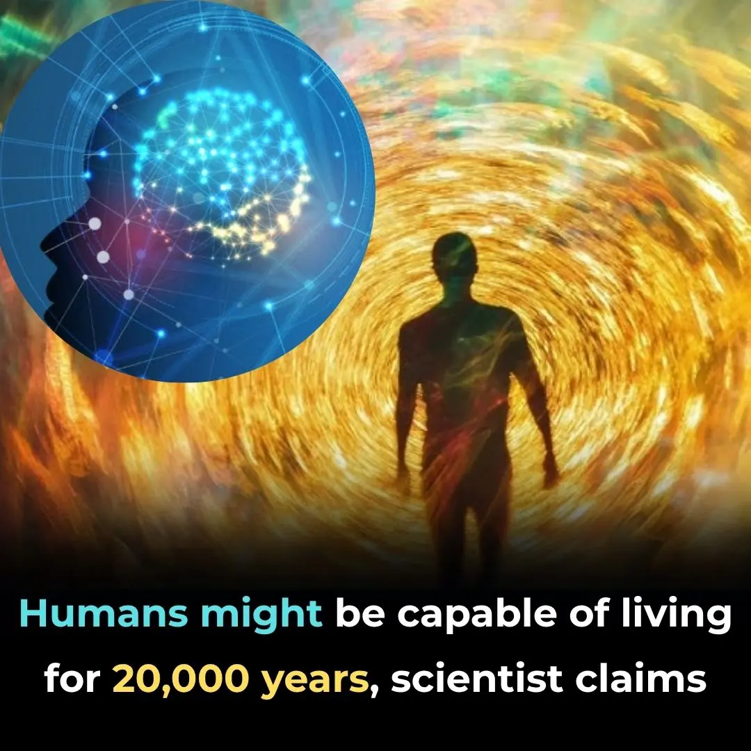The Astonishing Claim That Humans Might Be Built for 20,000 Years