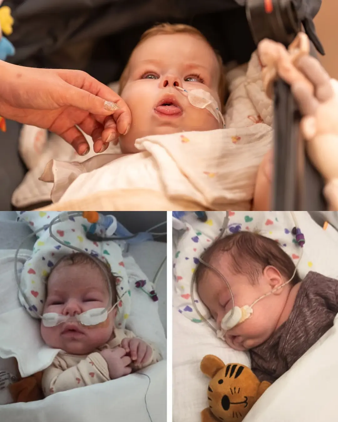 A Fragile Beginning: Baby Zosia’s Fight for Life